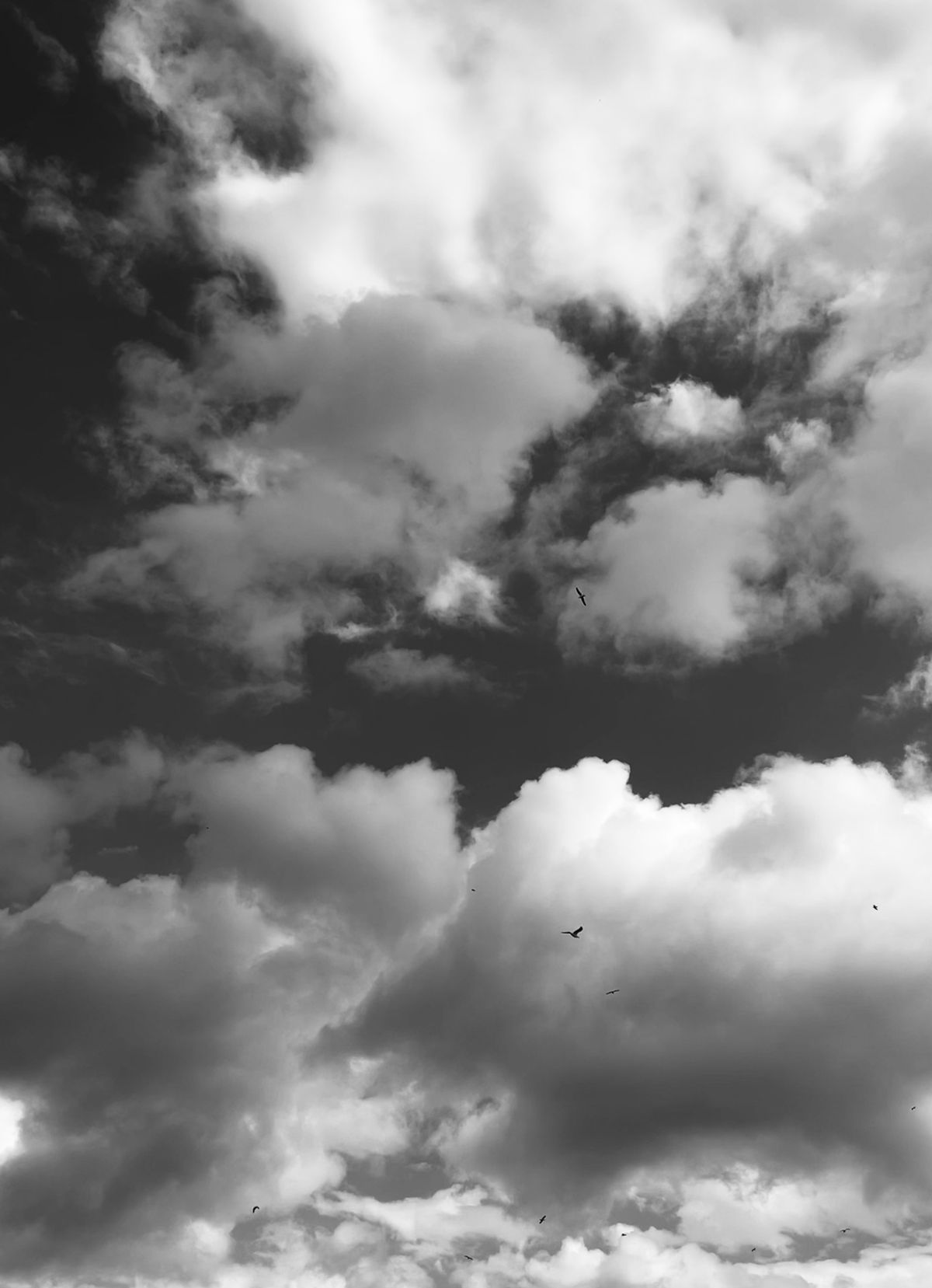 Clouds on Sky in Black and White · Free Stock Photo