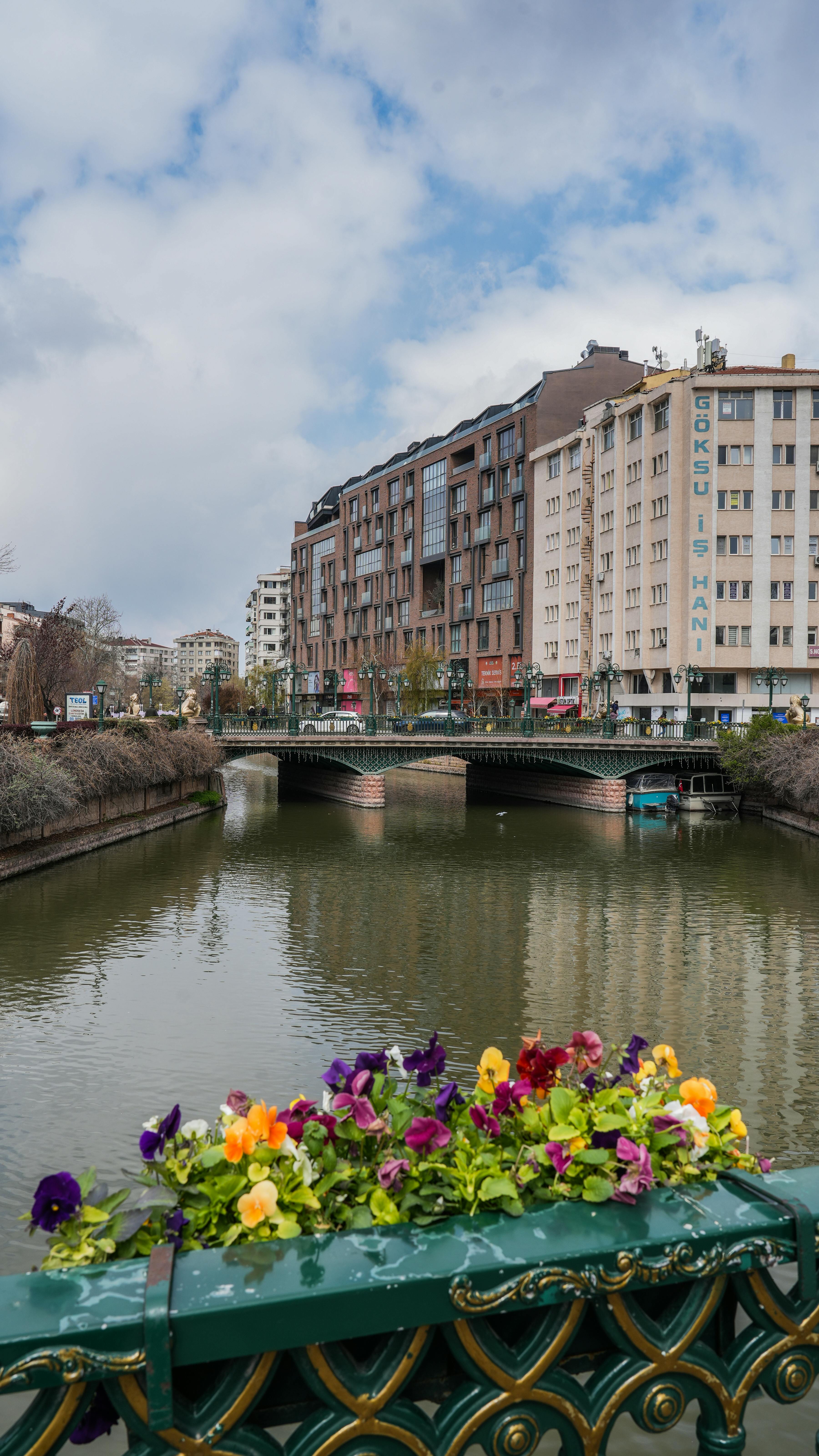 Colorful flowers adorn a riverside bridge in a vibrant cityscape with buildings under a blue sky.