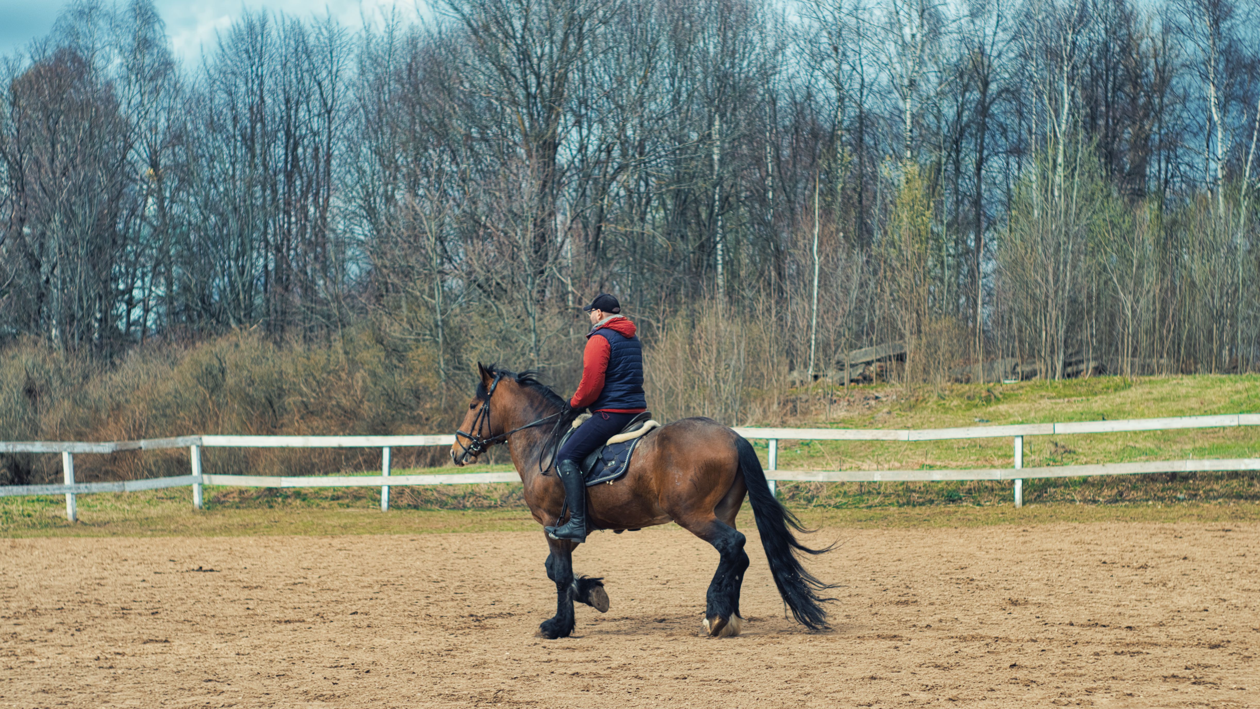 Person riding a brown horse in an outdoor arena surrounded by bare trees.
