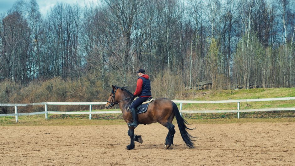 Person riding a brown horse in an outdoor arena surrounded by bare trees.