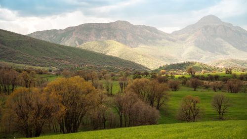 Free Beautiful spring view of lush green landscape with mountains in Iraq. Stock Photo