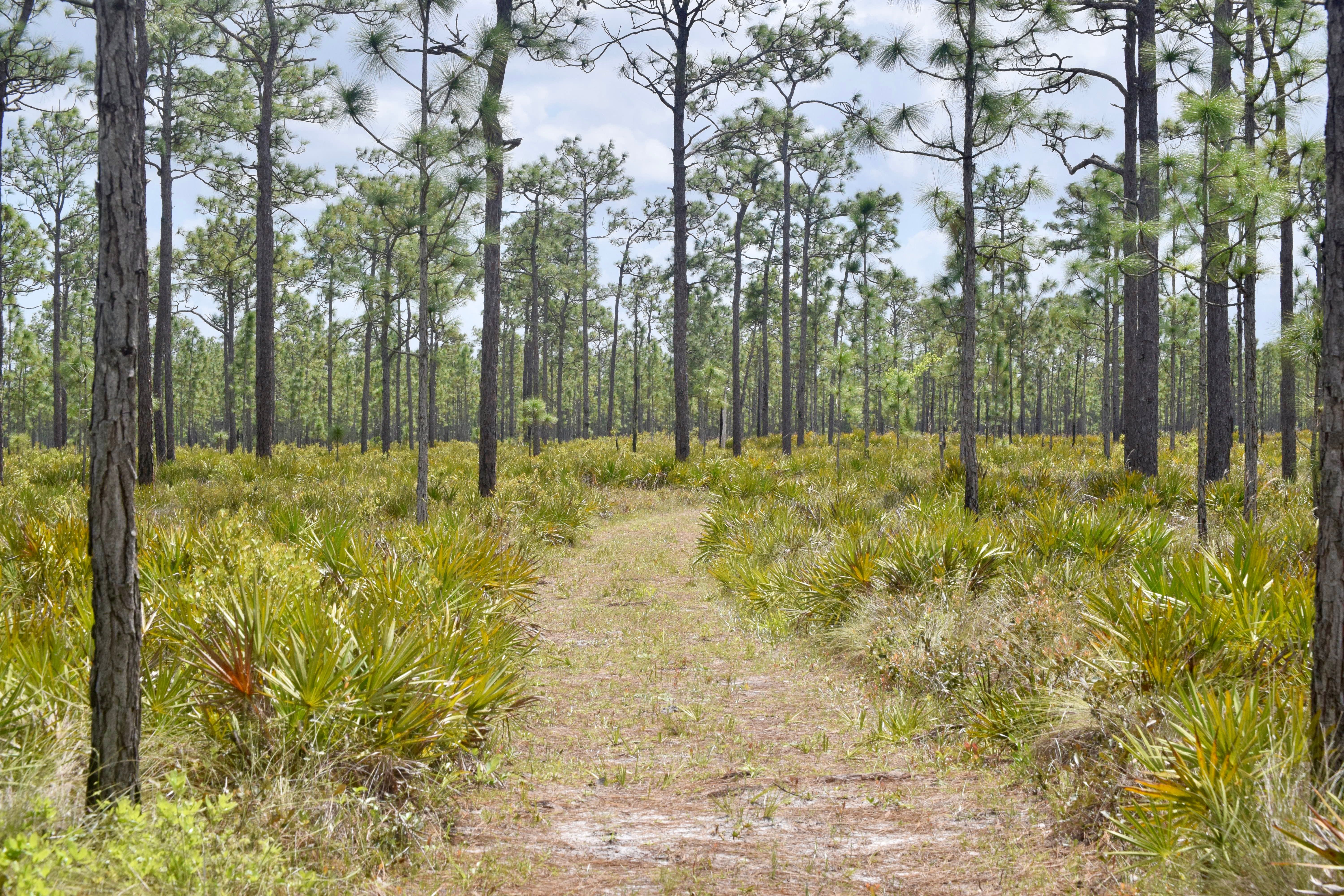 Holmes County, Florida