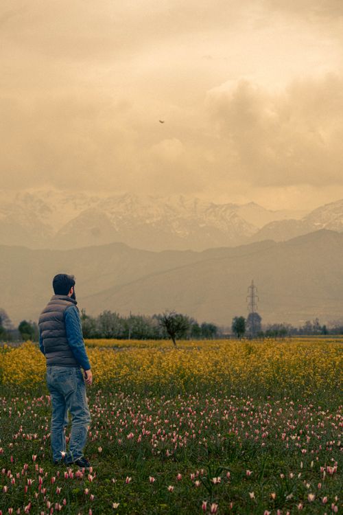 Free A man stands in a flower-filled meadow, gazing at distant mountains under a cloudy sky. Stock Photo