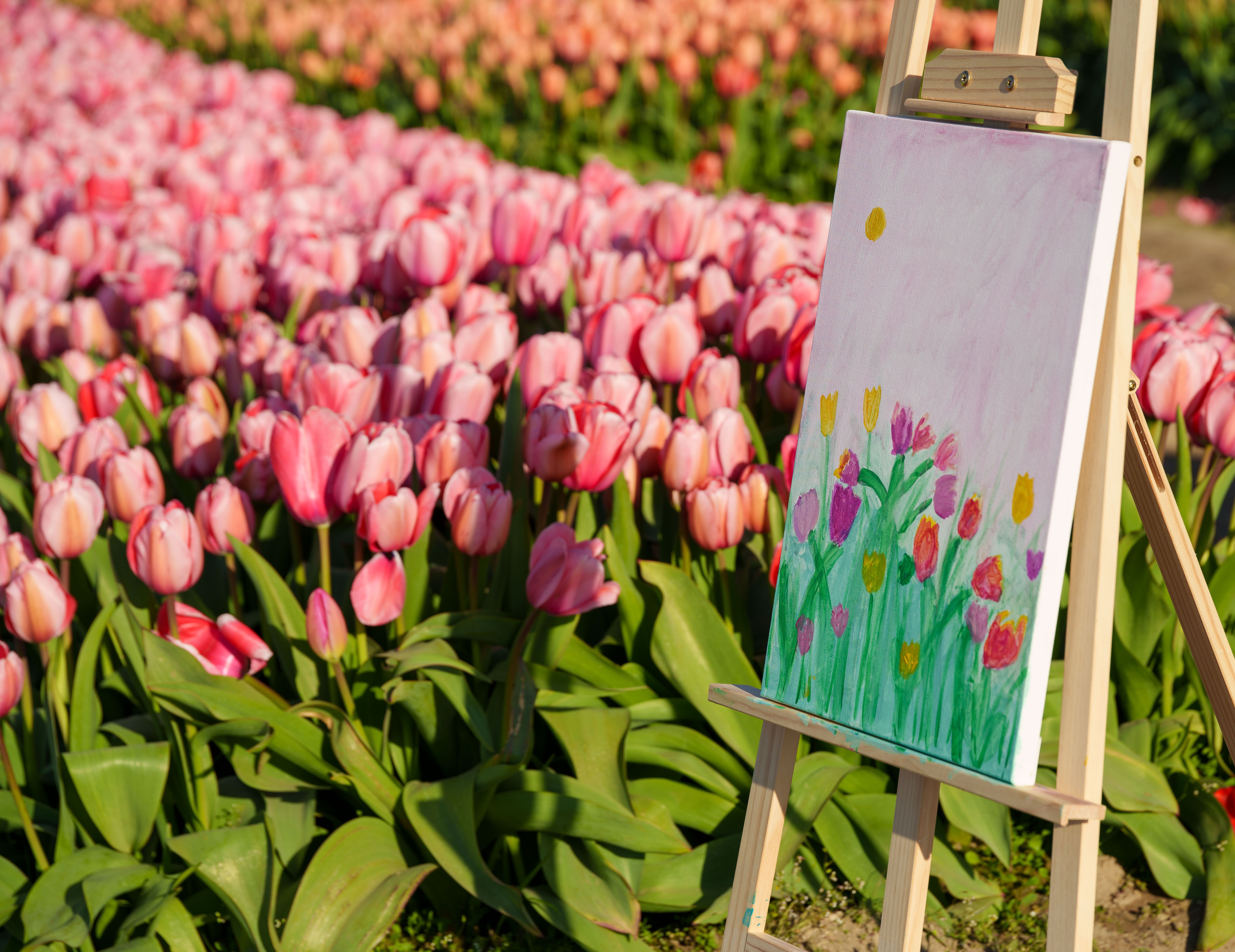 Colorful Tulip Field with Artistic Easel Painting · Free Stock Photo