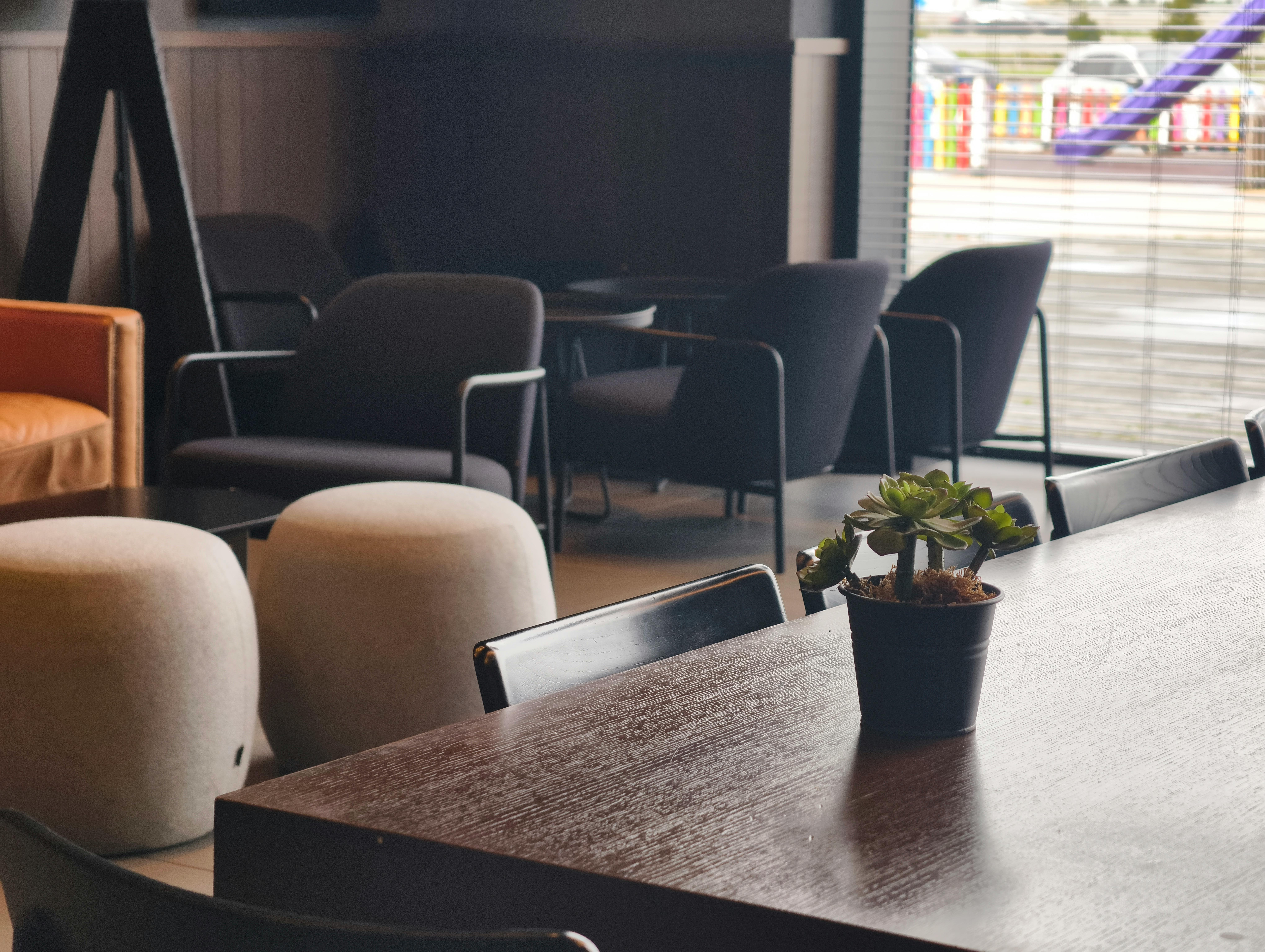 Cozy modern coffee shop interior with seating and a succulent centerpiece.