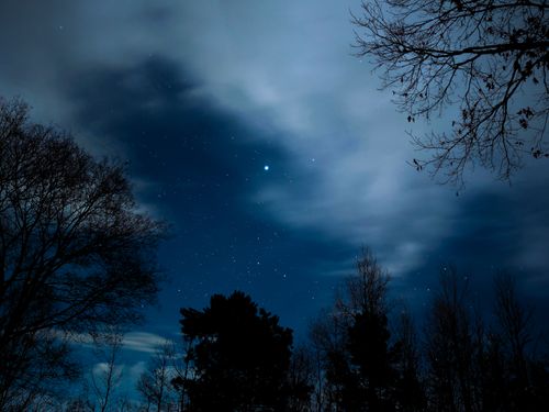 Free A serene night sky filled with stars and silhouetted trees, creating a tranquil nature scene. Stock Photo
