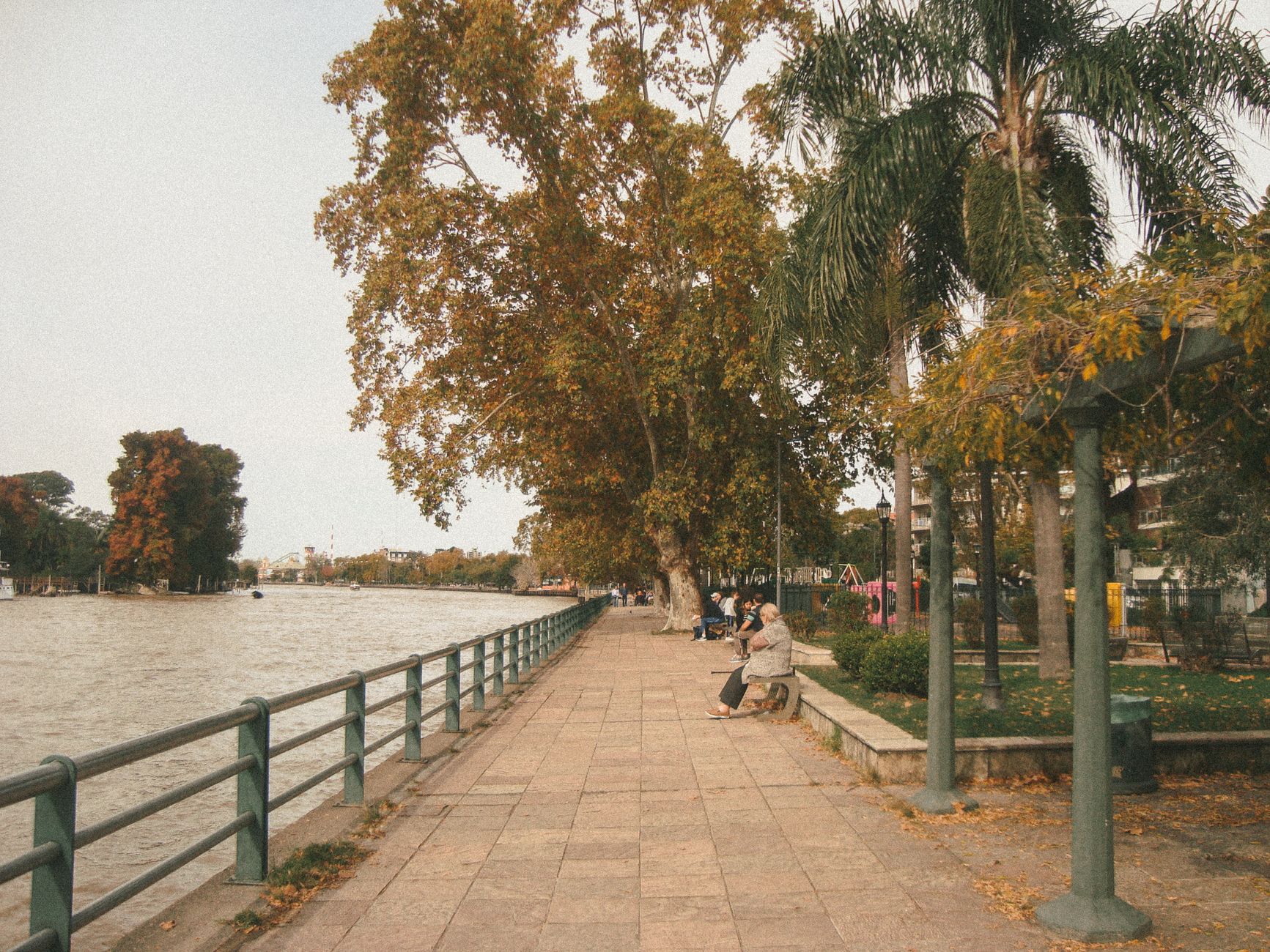 Tigre