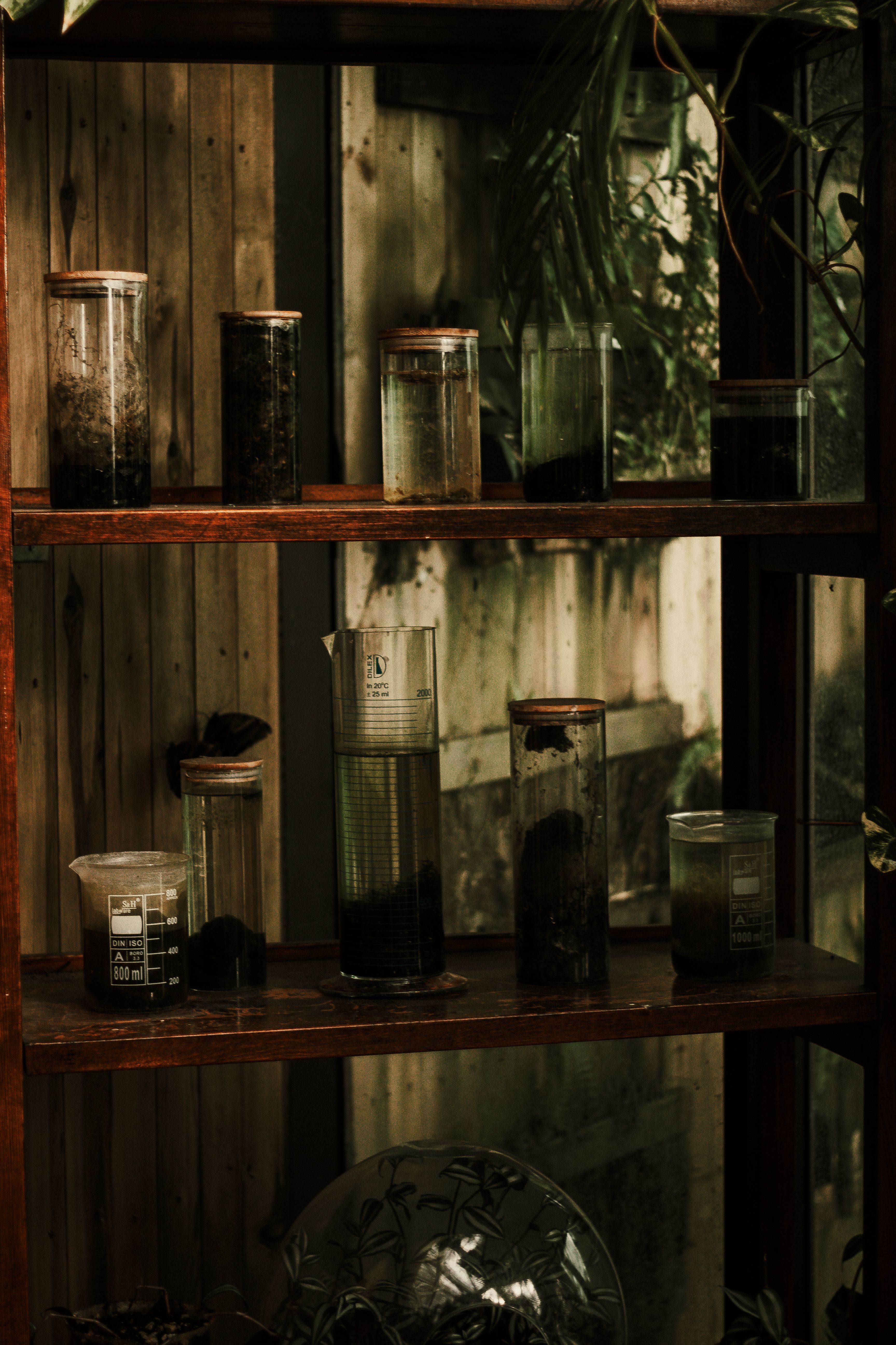 Aesthetic arrangement of jars with soil and water on a rustic wooden shelf