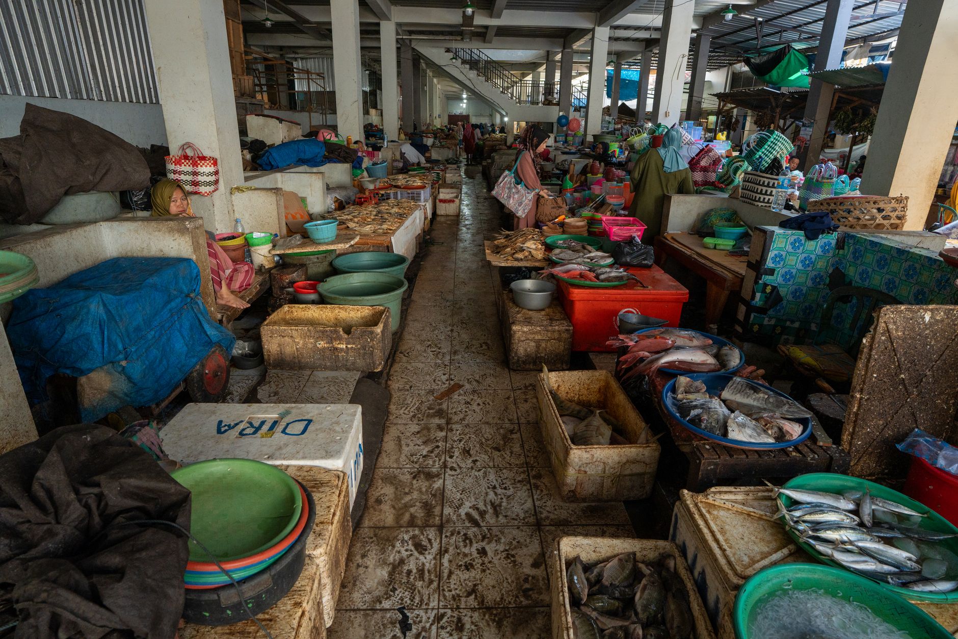 Ironi Jawa Tengah: Produksi Ikan Melimpah, Namun Tingkat Konsumsi Jadi Salah Satu Terendah