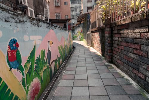Free A vibrant mural depicting birds and foliage adorns a narrow alleyway in Taipei, Taiwan. Stock Photo