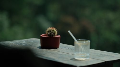 Free A cactus in a red pot next to a drink on a wooden table with a blurred natural background. Stock Photo