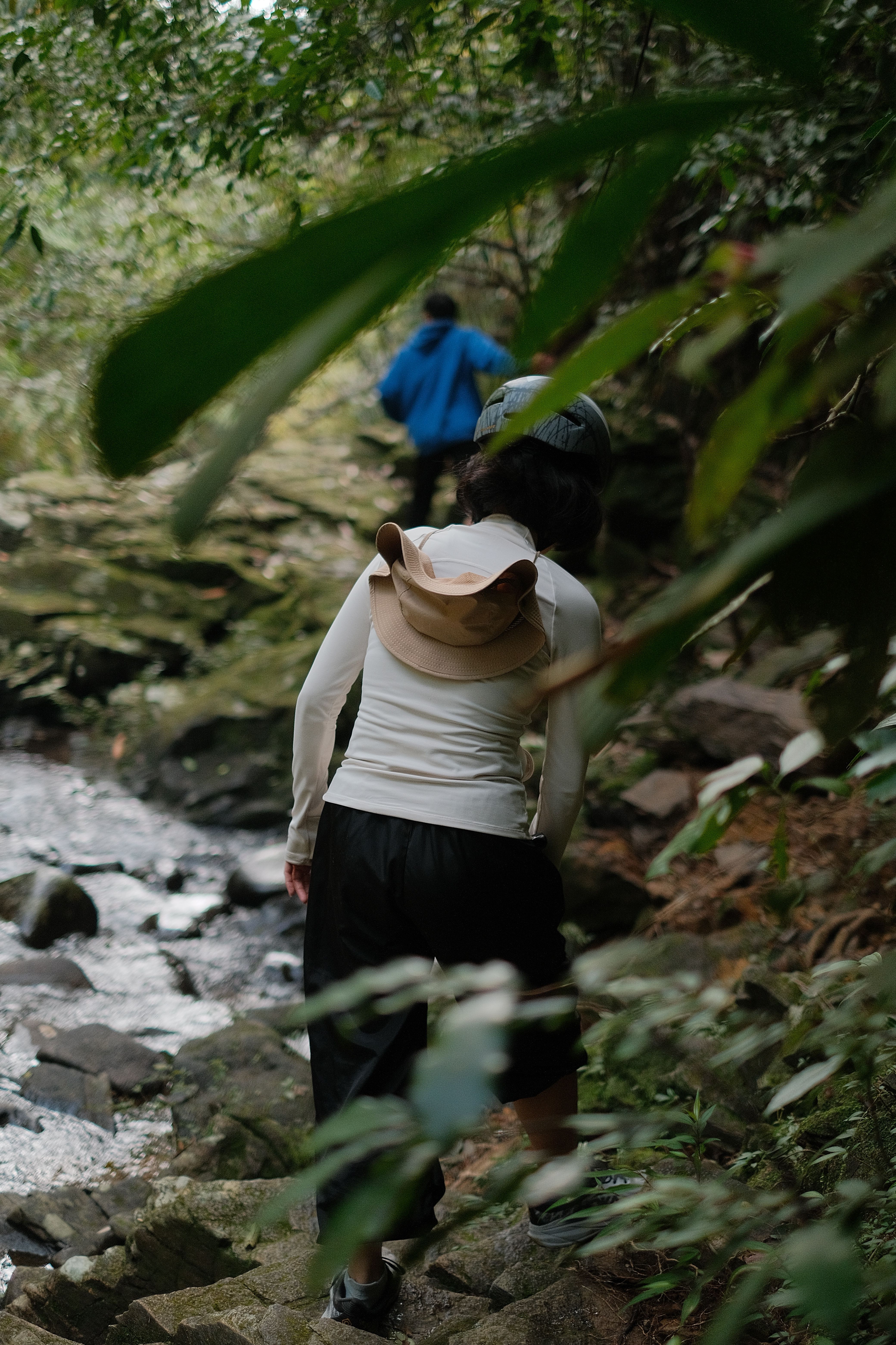 MacLehose Trail Section 2