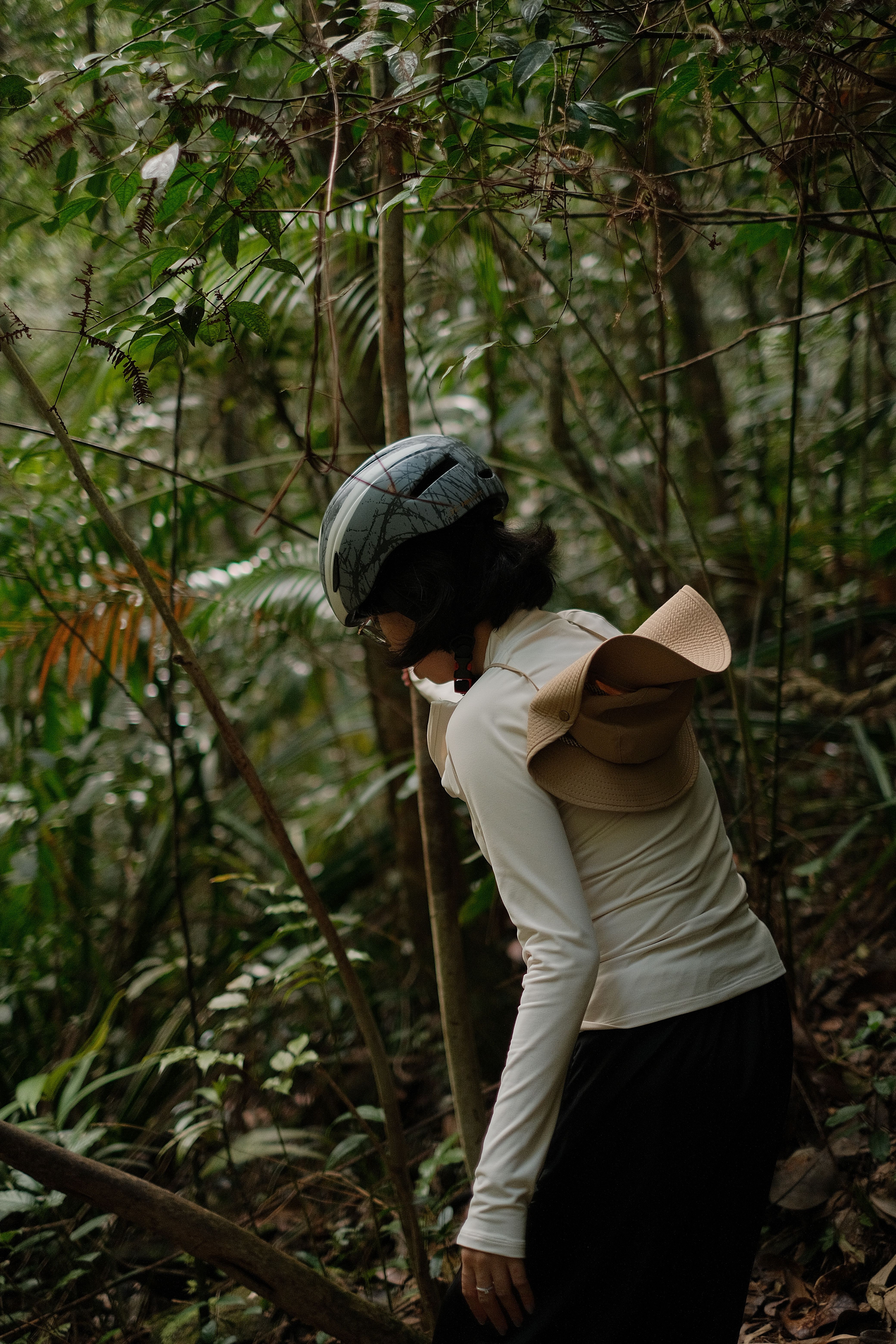 Woman Hiking in Lush Tropical Forest · Free Stock Photo