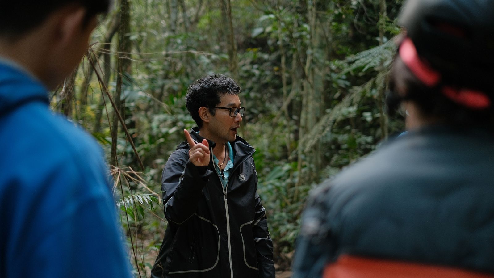 Guided nature walk through lush forest, Zimbabwe