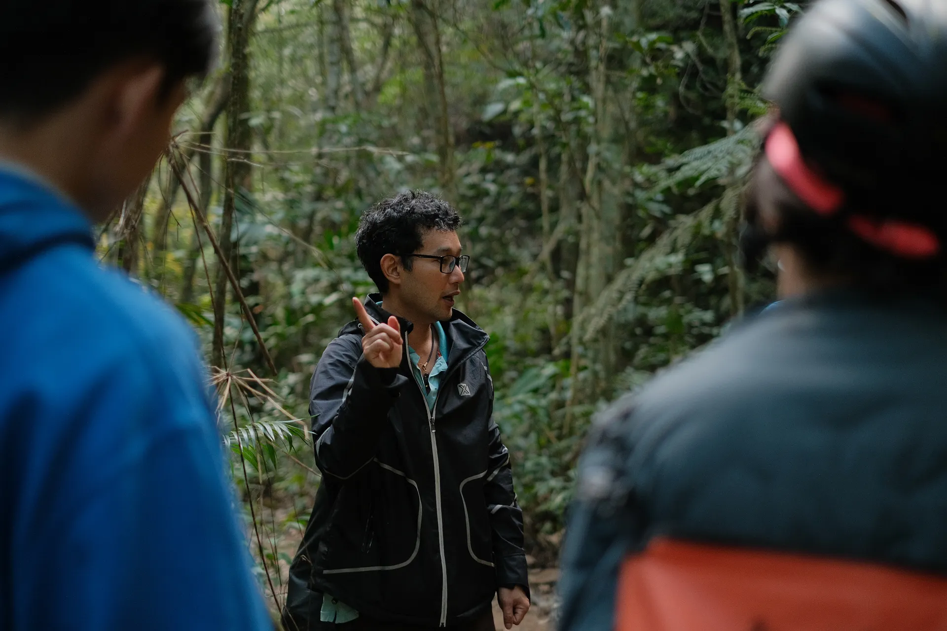 A guide leading a group of people on an informative nature walk in a dense forest. A guide leading a group of people on an informative nature walk in a dense forest.