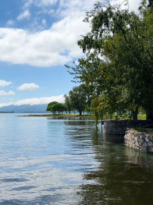 Free Peaceful view of a riverbank with lush trees and calm water in Córdoba, Argentina. Stock Photo