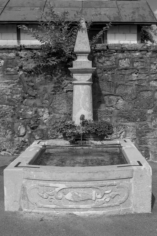 Free Black and white image of a vintage stone fountain with intricate carvings and flowing water. Stock Photo