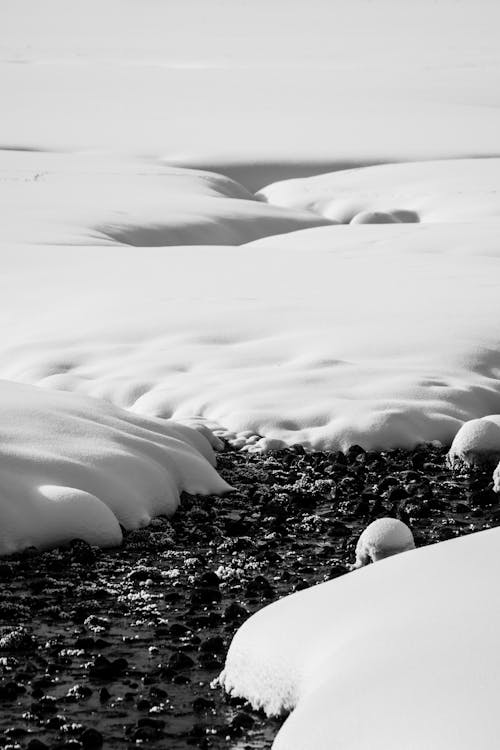 Champ Couvert De Neige