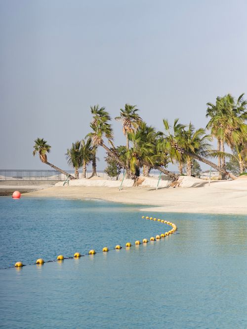 Free A tranquil beach scene with palm trees and blue waters in Dubai, UAE, offering a picturesque view. Stock Photo