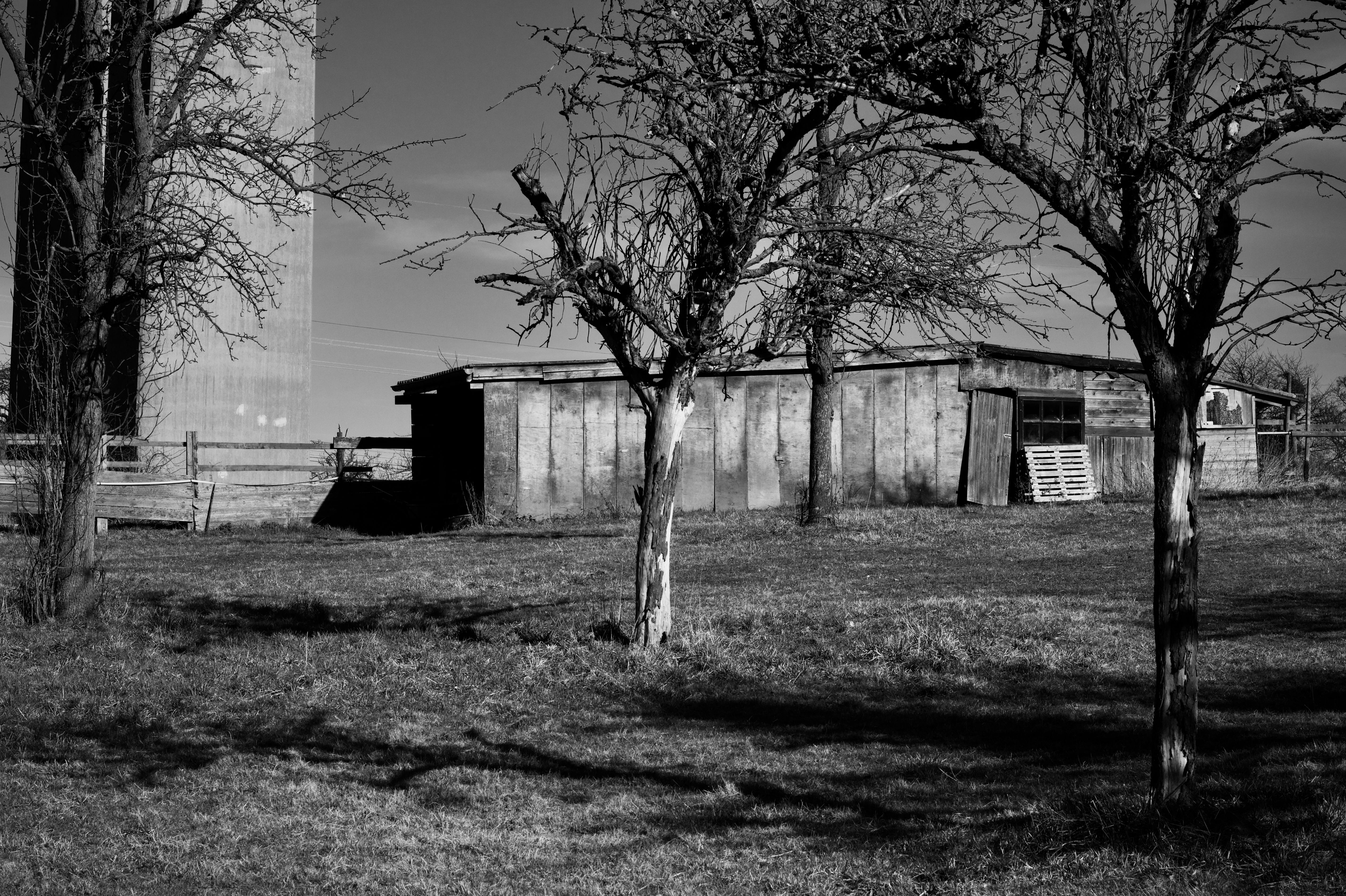 Black and White Rural Farm Landscape with Trees · Free Stock Photo
