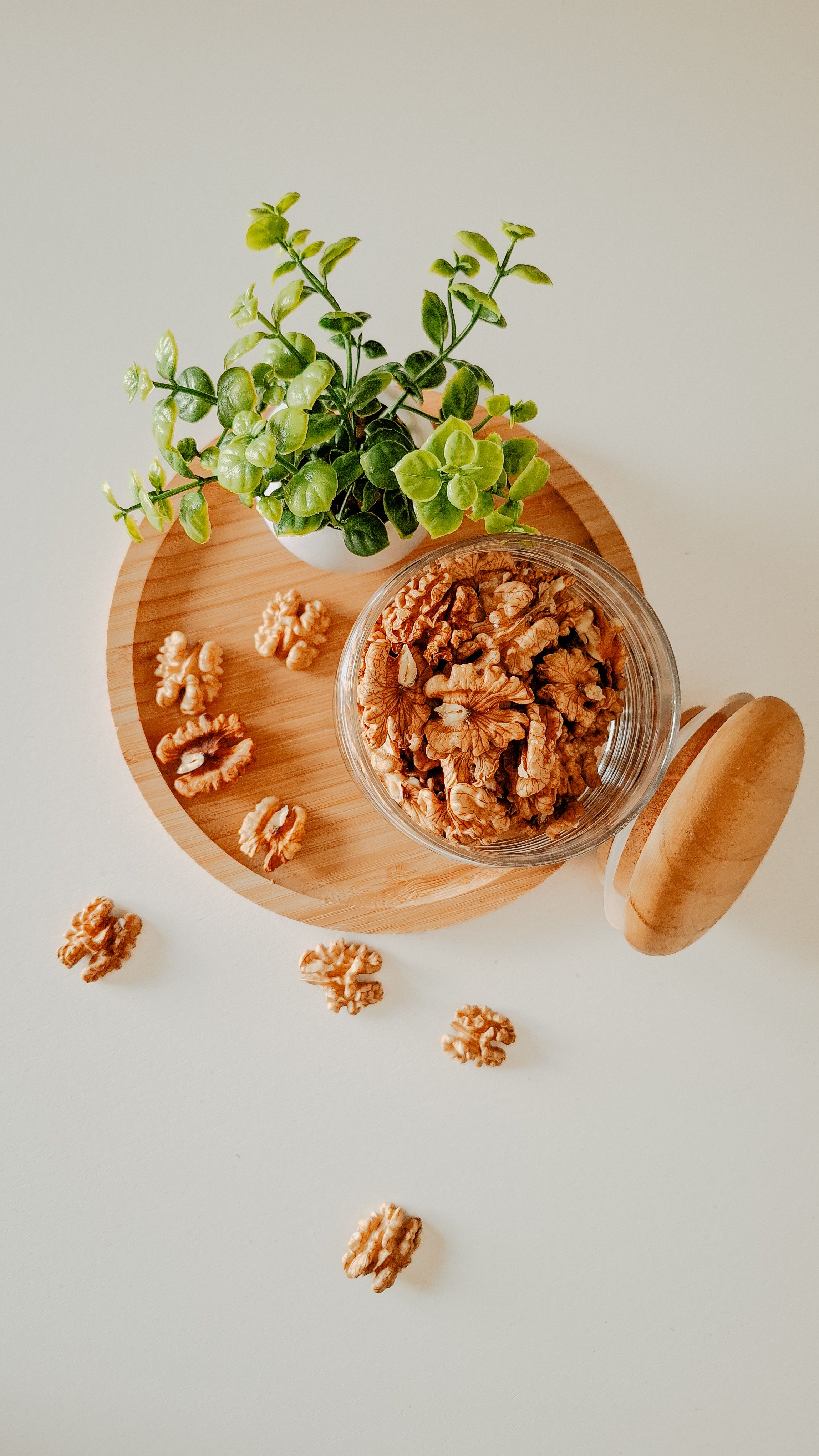 Top view of walnuts in a jar on a wooden tray with a small green plant.