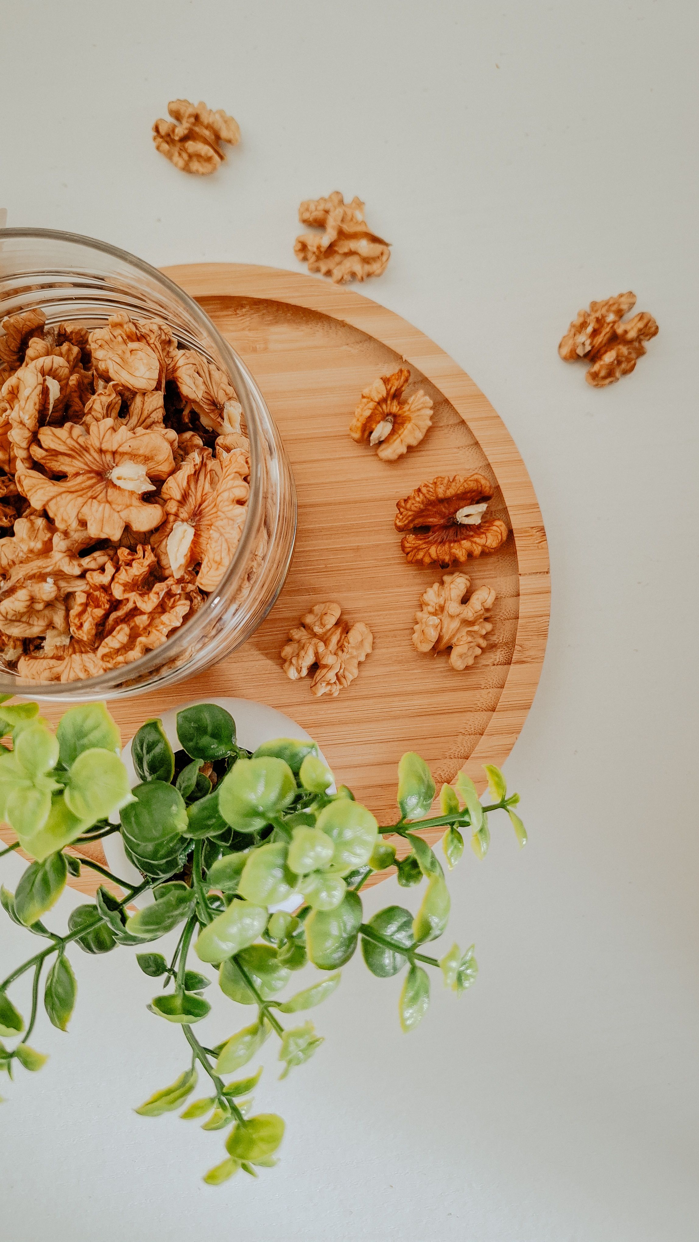 High-angle view of walnuts in a jar on a wooden tray next to green foliage, suitable for healthy lifestyle concepts.