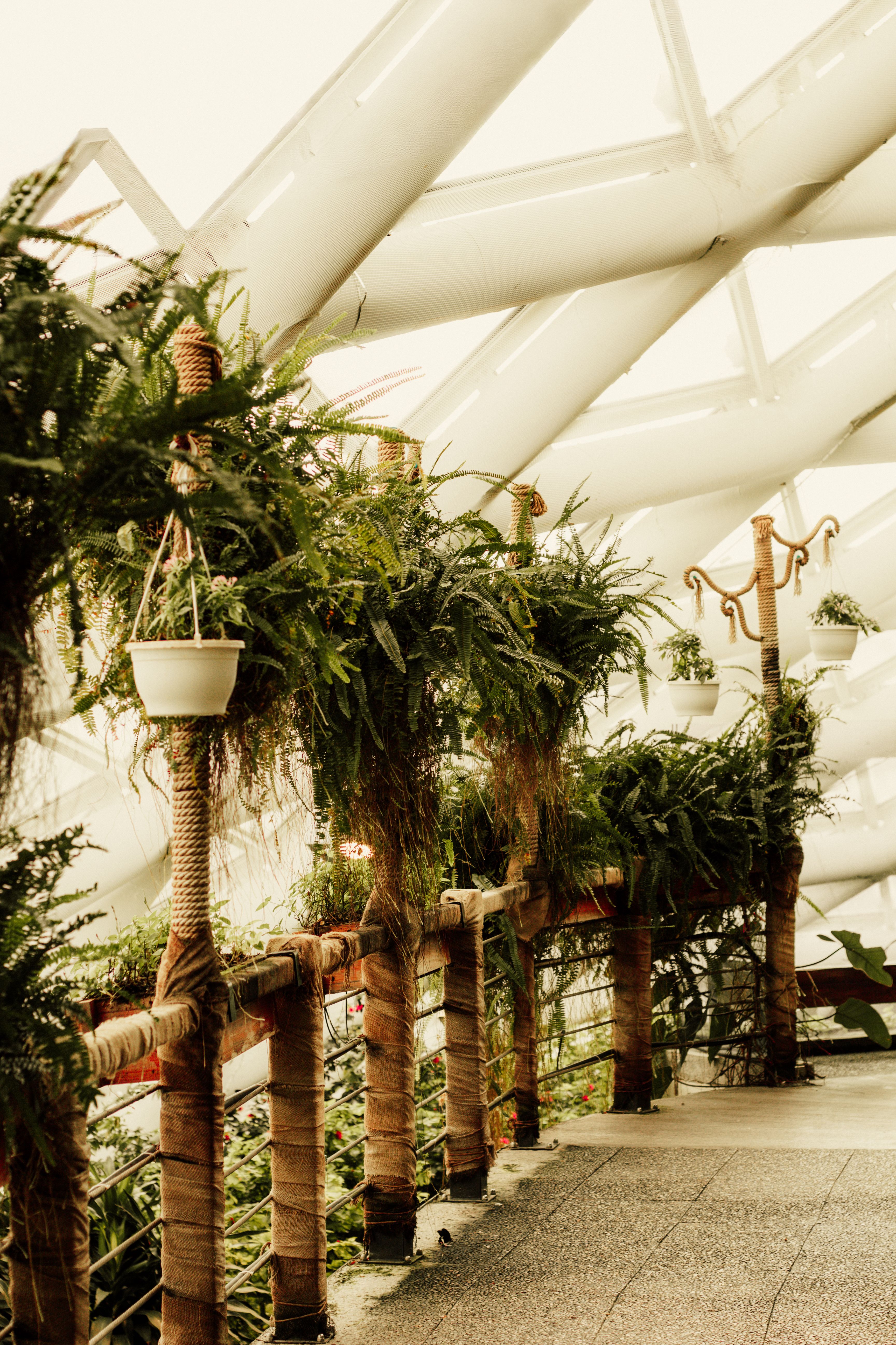 Hanging Gardens Photos, Download The BEST Free Hanging Gardens