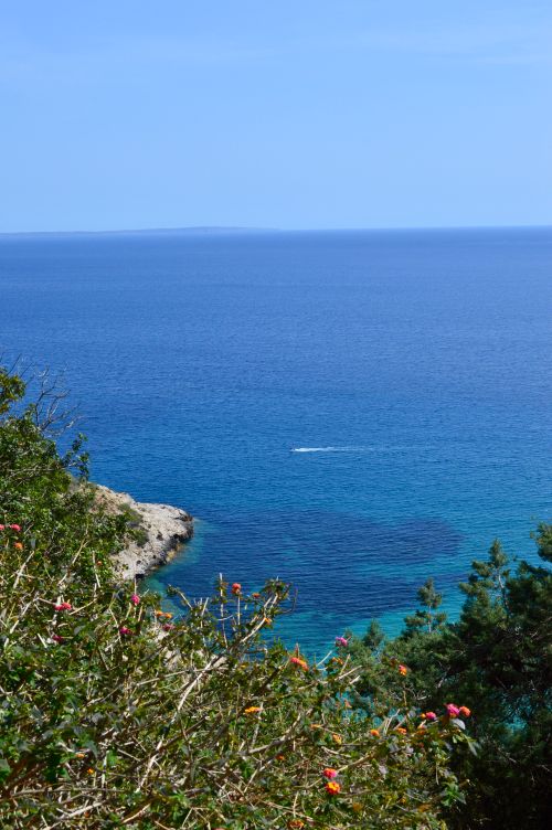 Free A serene coastal scene featuring deep blue sea, greenery, and clear skies creating a calm atmosphere. Stock Photo