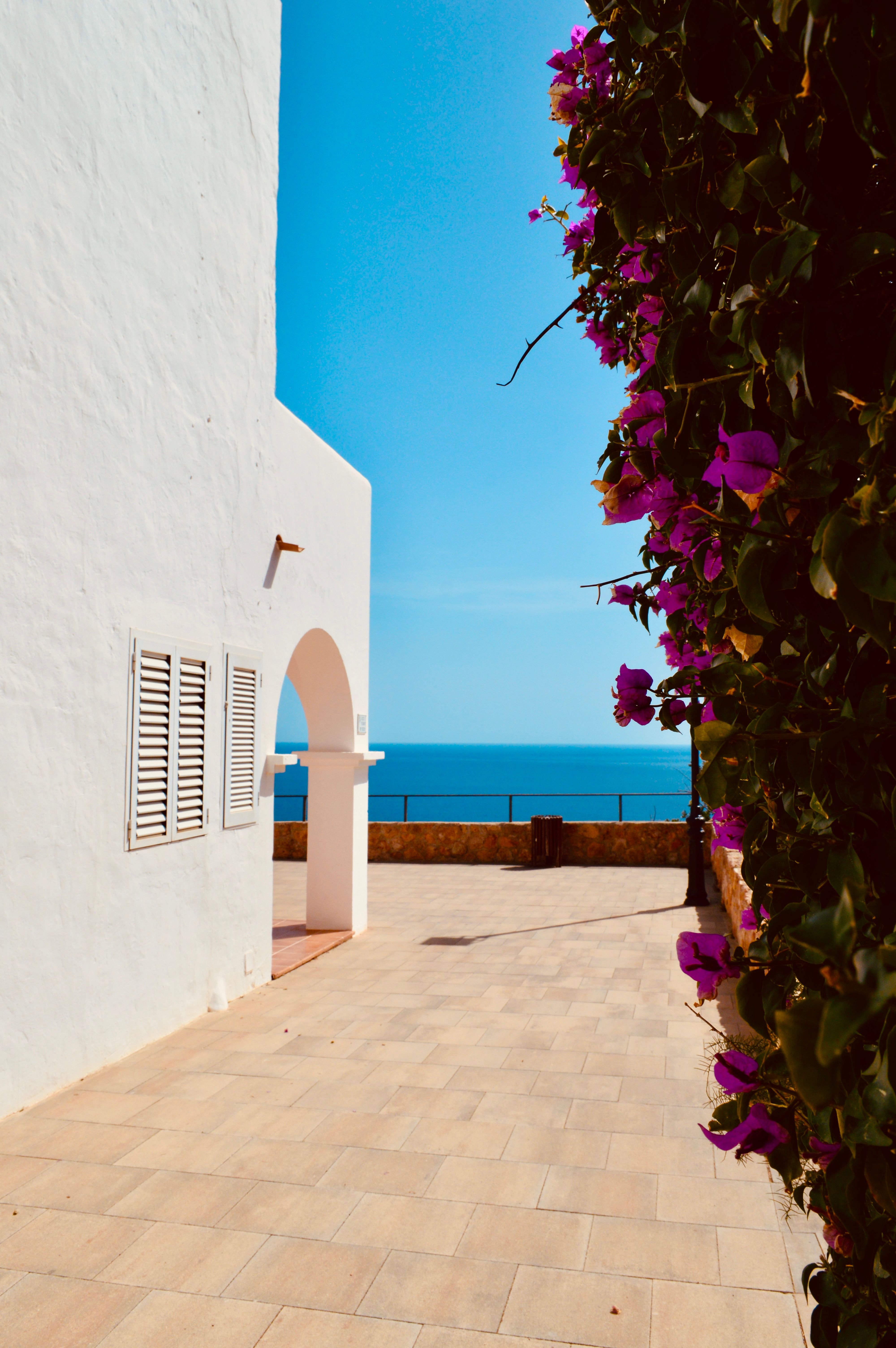 Terrace with bougainvillea overlooking the sea