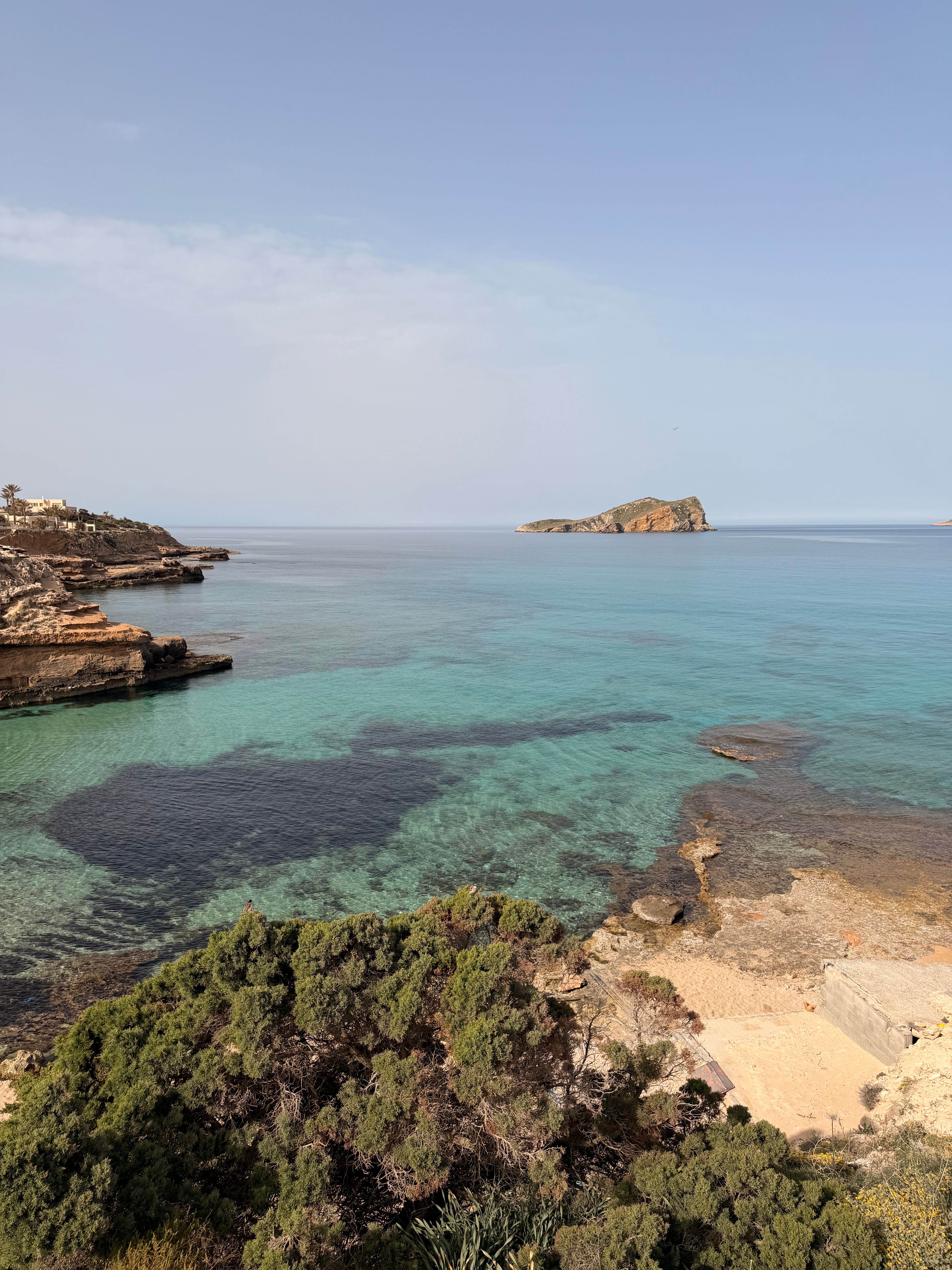 The Secret Beneath Ibiza's Blue: How Posidonia Keeps the Island's Water Crystal Clear (2026)