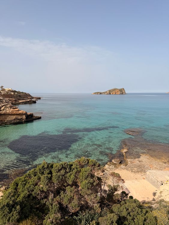The Secret Beneath Ibiza's Blue: How Posidonia Keeps the Island's Water Crystal Clear (2026)