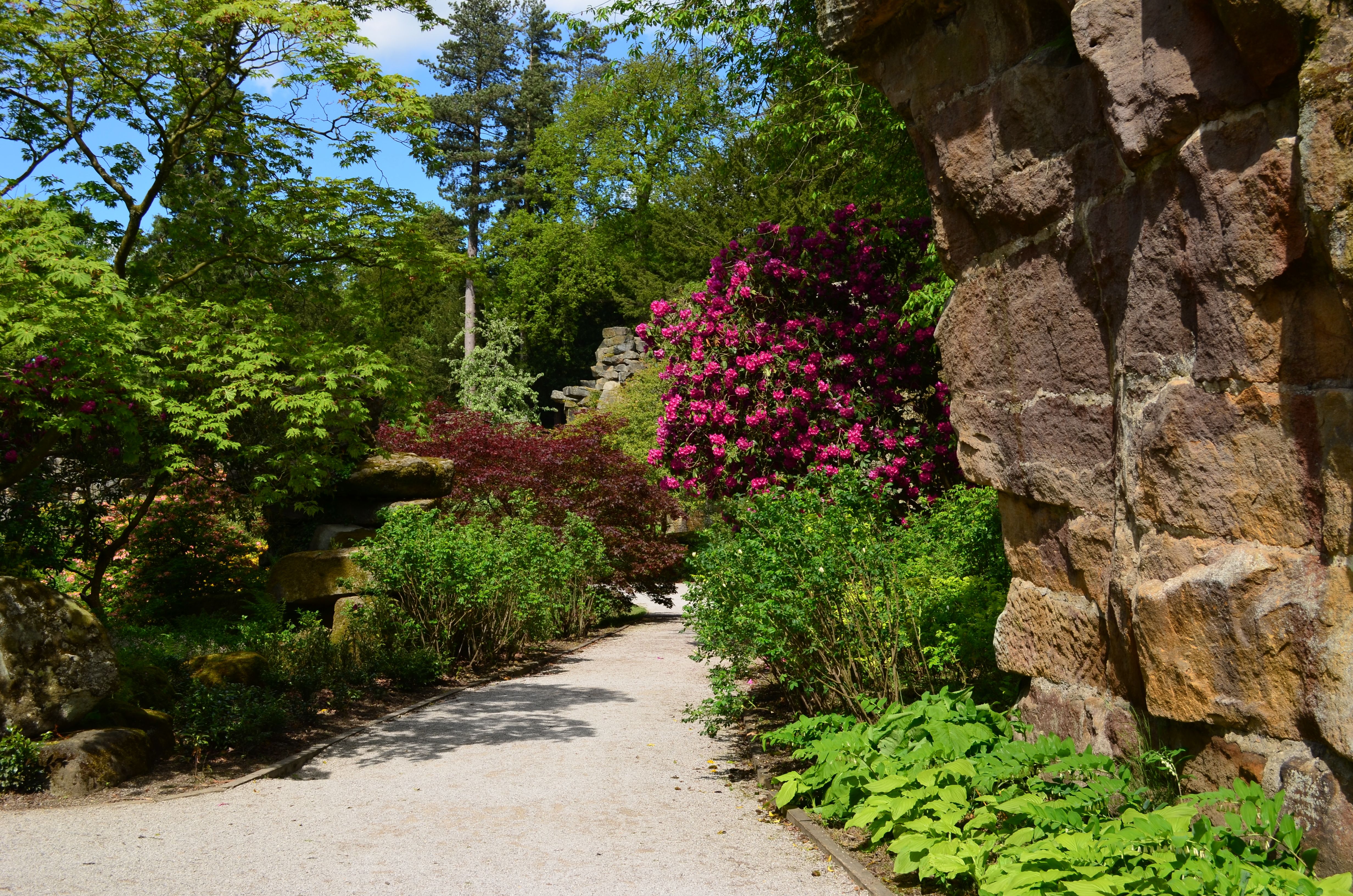 Allée de jardin bordée de fleurs et de végétation dense.