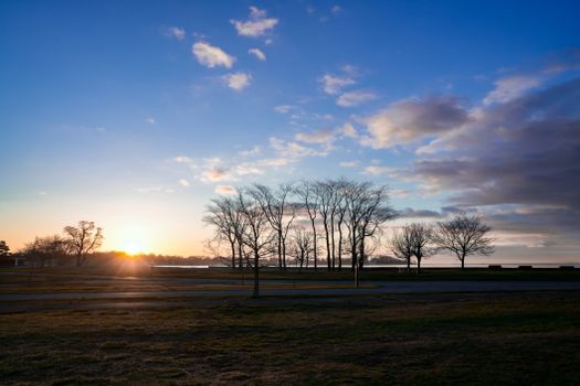 Beautiful sunrise illuminating bare trees and a calm lake, evoking a tranquil and peaceful mood.