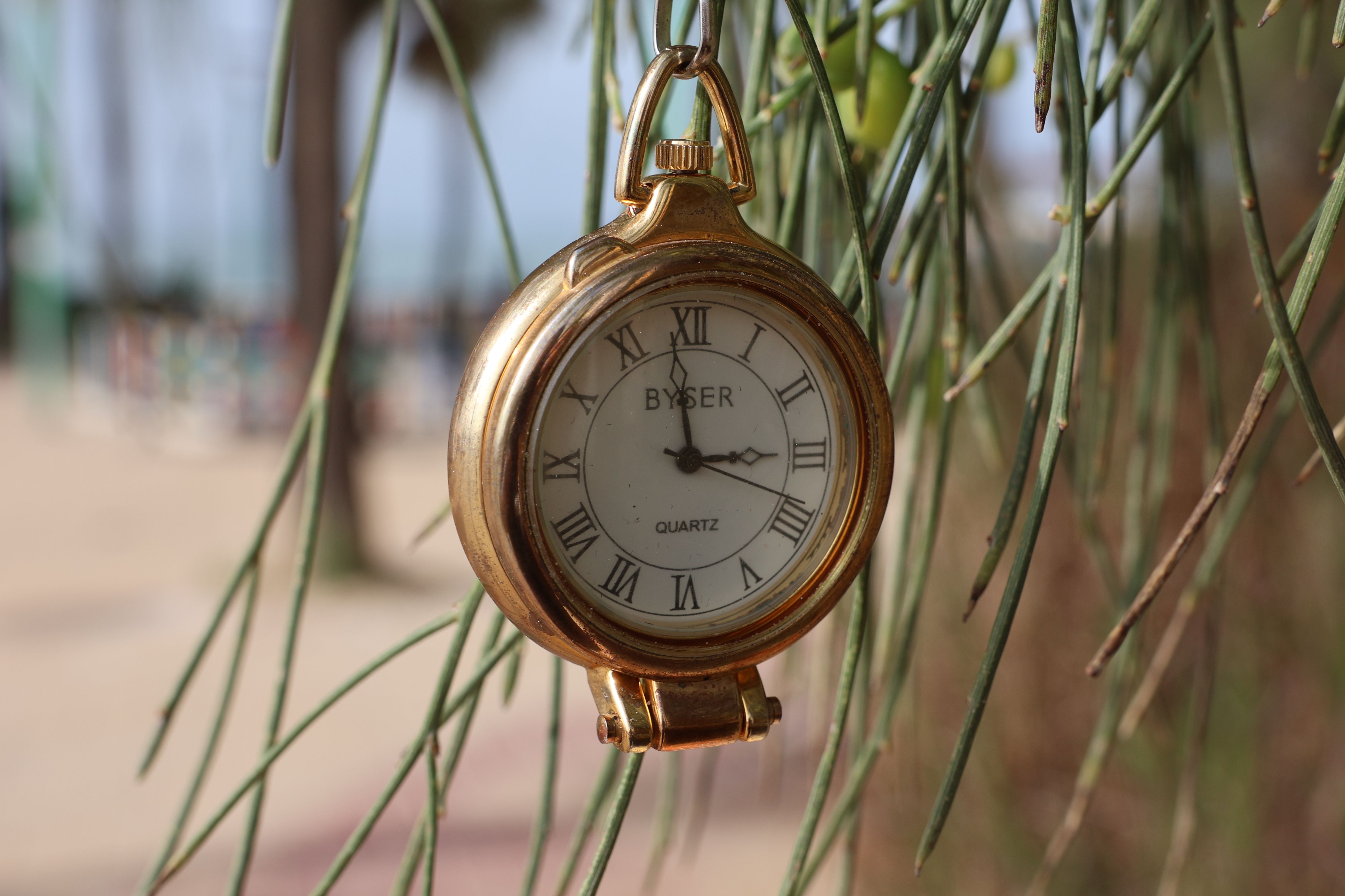 How to watch Discovery Channel’s ‘Gold Rush’ season 16, episode 2 for free — Photo by Antonio Garcia Prats on Pexels
