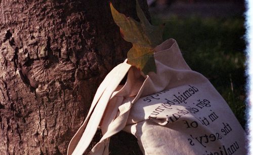Tote bag with text resting on tree