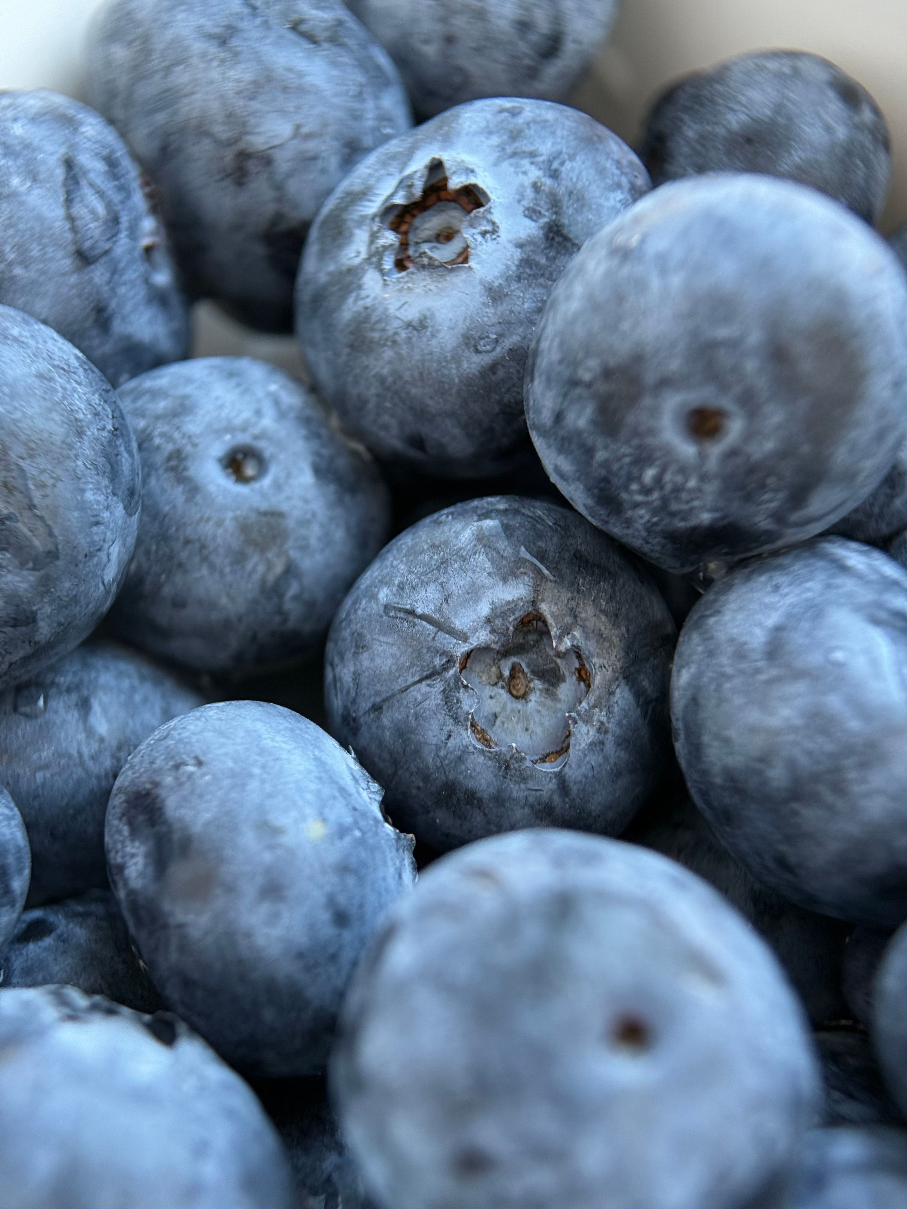 Close-Up of Fresh Blueberries in Natural Light · Free Stock Photo