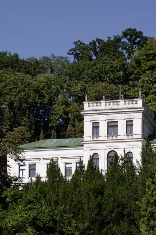 Free Elegant white mansion amidst green trees under a clear blue sky, perfect for real estate or travel themes. Stock Photo