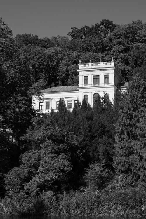 Free Black and white photo of a grand mansion set against a dense forest backdrop, capturing timeless elegance. Stock Photo