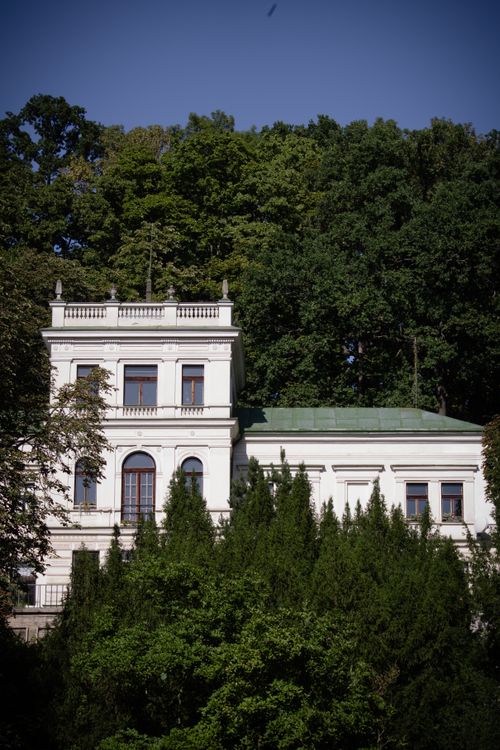 Free White mansion nestled amidst lush green trees under a sunny sky. Stock Photo