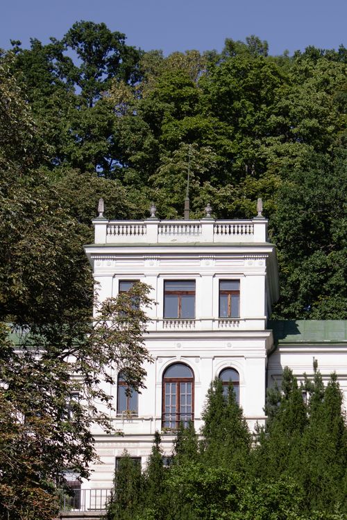 Free Stately white mansion framed by lush trees during a clear day, showcasing classic architecture. Stock Photo