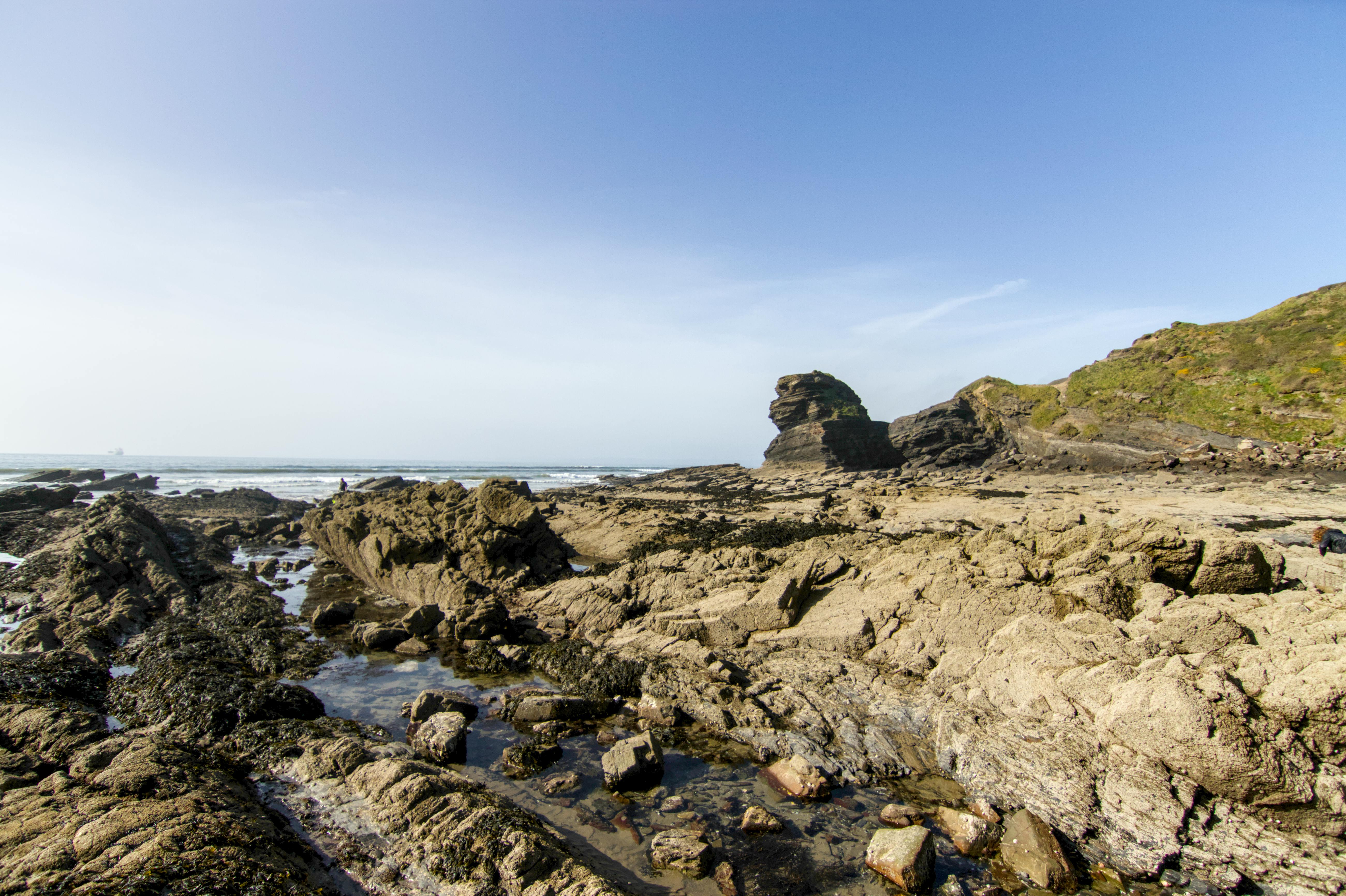 Beach Haven Garden