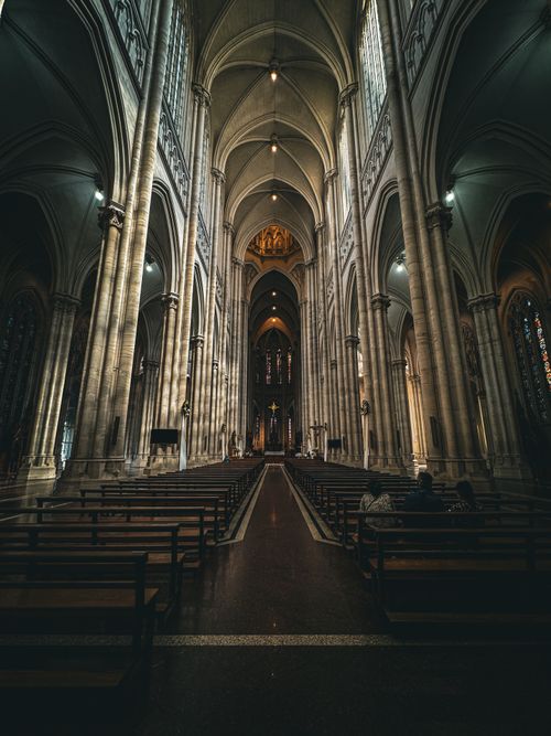 Free Stunning view of La Plata Cathedral's Gothic architecture with high arches and intricate details. Stock Photo