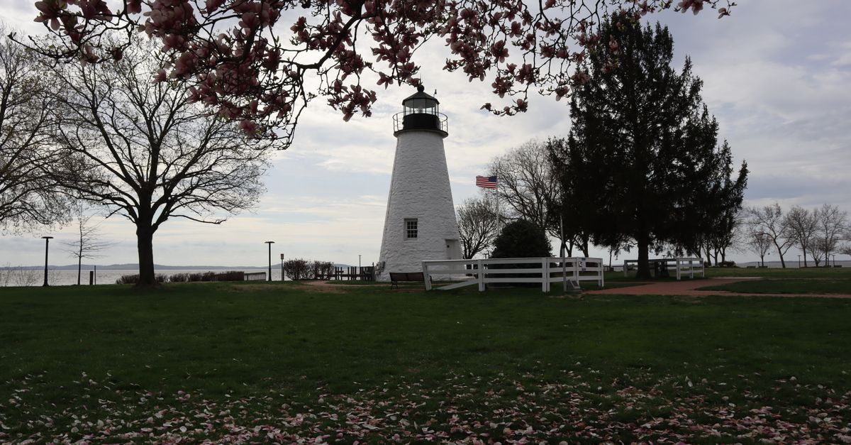 A serene lighthouse surrounded by spring blossoms and a lush green lawn.