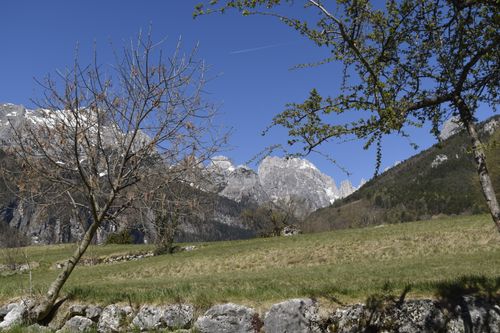 Free Beautiful spring landscape view of Molveno mountains with trees and clear sky. Stock Photo