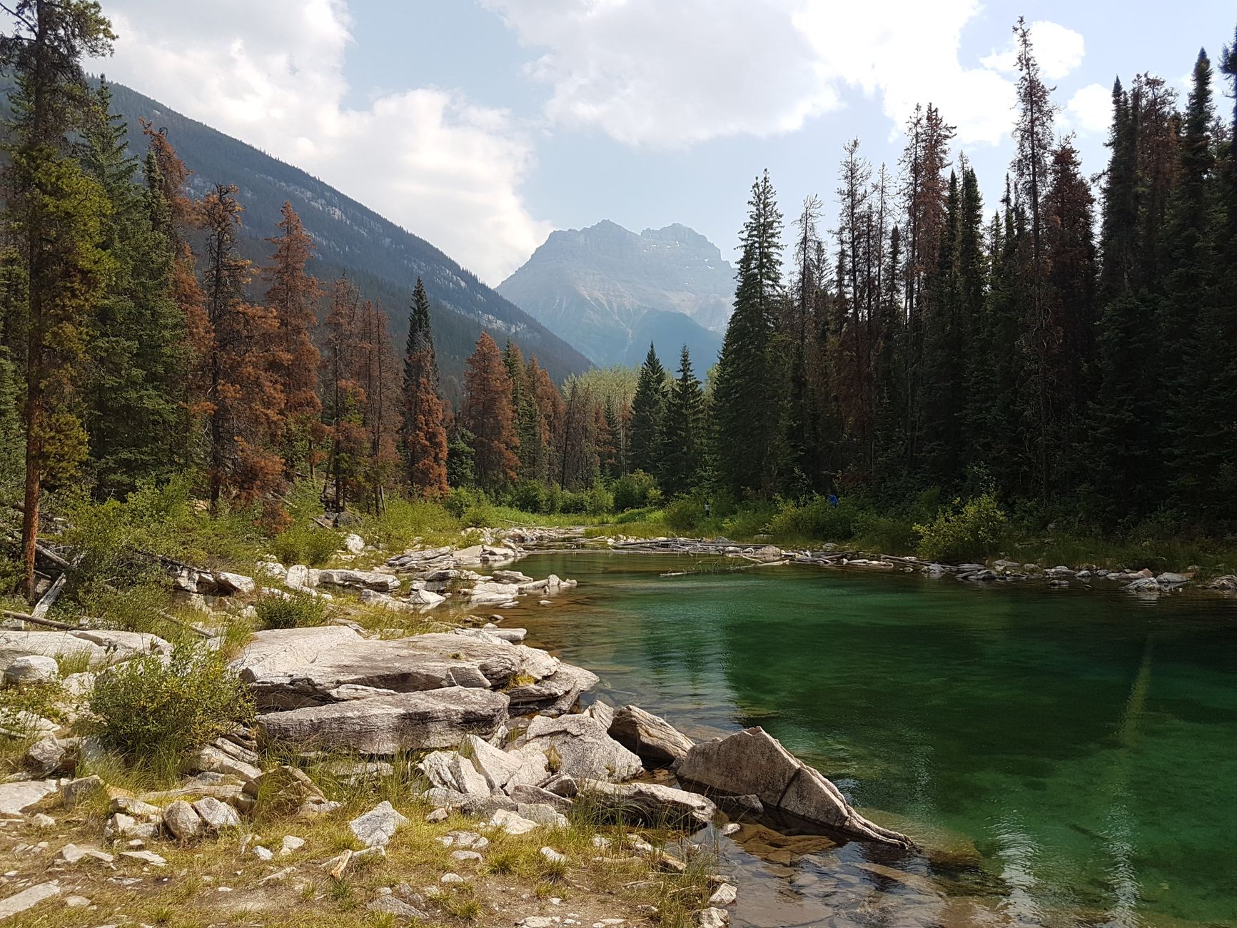 Maligne Canyon