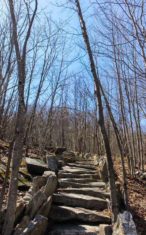 Free Stone steps ascend through a bare forest, offering a peaceful hiking trail in spring. Stock Photo