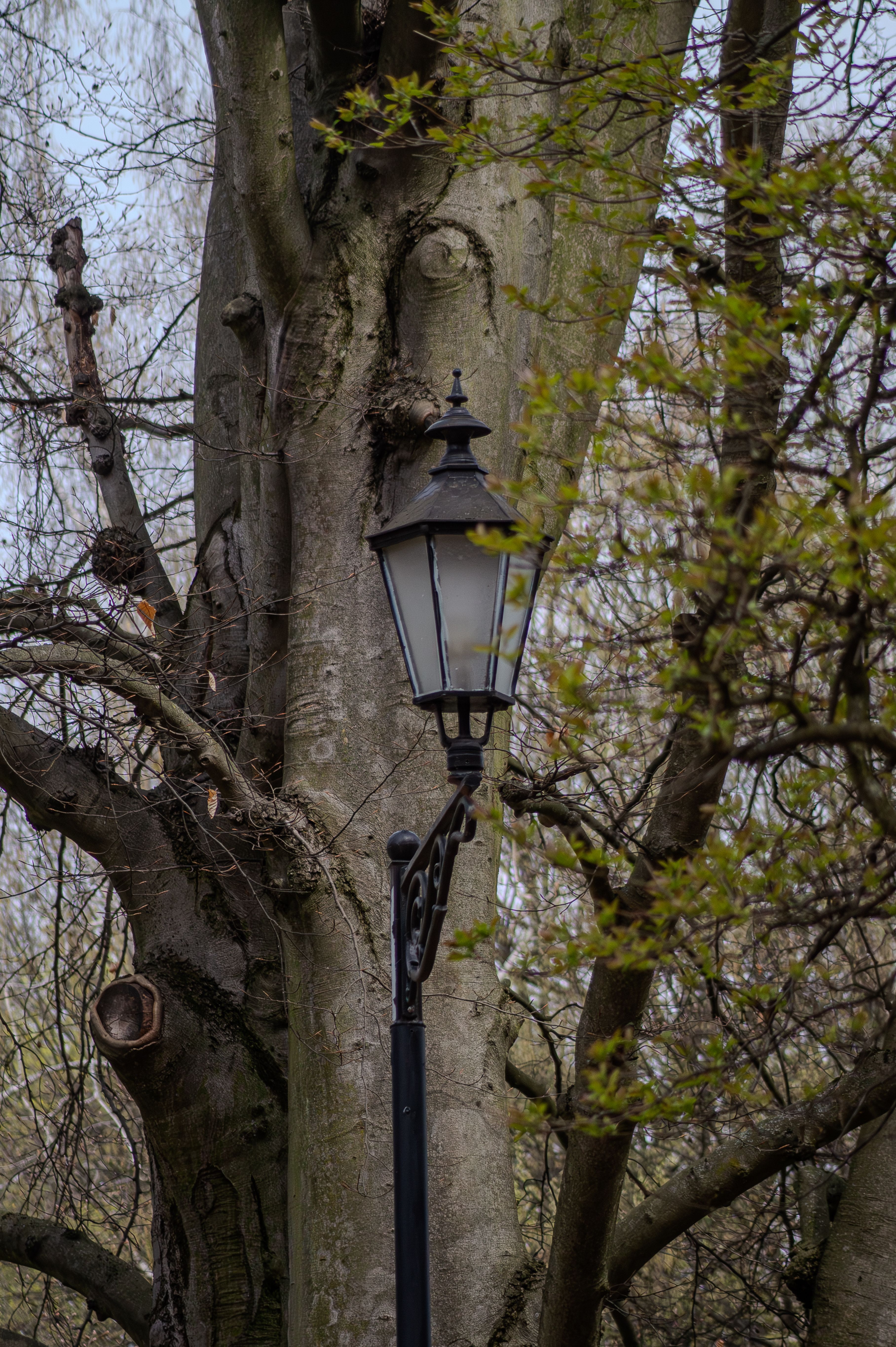 Decorative Lighting Poles