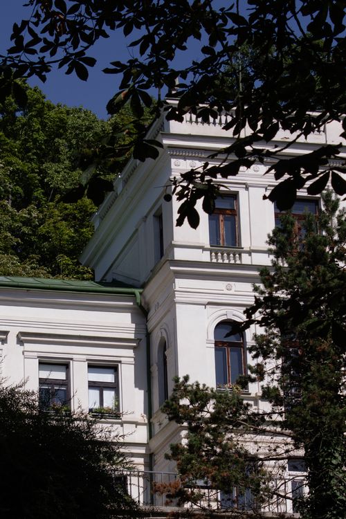 Free Historic white building partially obscured by trees on a sunny day, showcasing elegant architectural style. Stock Photo