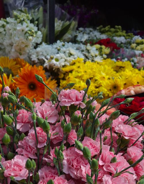 Free Colorful display of fresh flowers including carnations and daisies at a market stall. Stock Photo