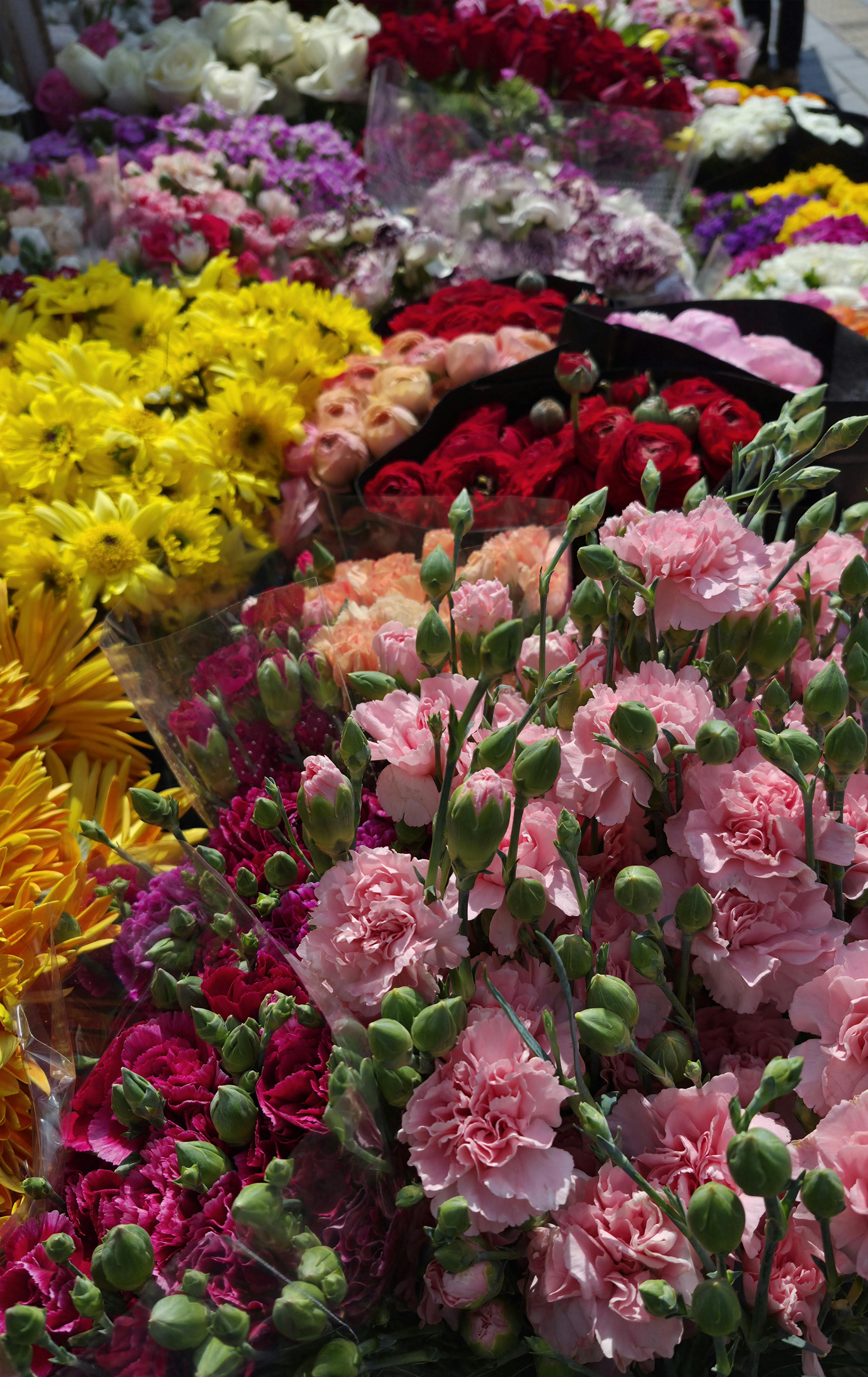 [ColoSach]-colorful-bouquet-display-with-roses-and-carnations-at-a-flower-market.